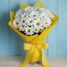 Букет цветов из:  Хризантемы в Первомайском Алтайского края