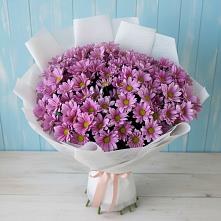 Букет цветов из:  Хризантемы в Первомайском Алтайского края