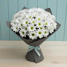 Букет цветов из:  Хризантемы #REPLACE_PRED# Первомайском Алтайского края