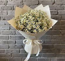 Букет цветов из:  Ромашки #REPLACE_PRED# Первомайском Алтайского края