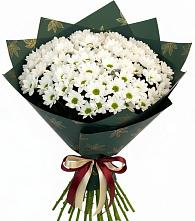 Букет цветов из:  Хризантемы #REPLACE_PRED# Первомайском Алтайского края