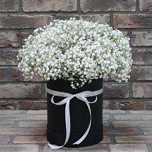 Цветочная композиция из Гипсофила в шляпной коробке в Первомайском Алтайского края