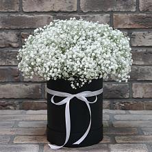Цветочная композиция из Гипсофила в шляпной коробке в Первомайском Алтайского края